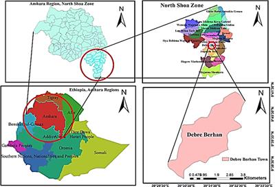 Willingness to pay for improved solid waste management and associated factors among households in Debre Berhan town, North Shoa Zone, Amhara, Ethiopia, 2022
